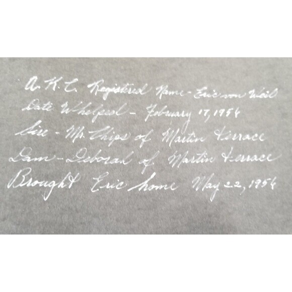 Vintage faux leather bound photo album 50s - Picture 10 of 12